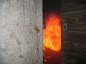 bild (16)